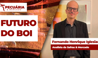 Fernando Henrique Iglesias - Analista da Safras & Mercado
