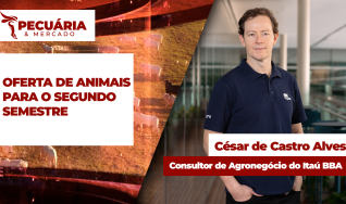 César de Castro Alves - Consultor de Agronegócio do Itaú BBA