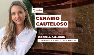 Isabella Camargo - Zootecnista e analista da HN Agro