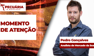 Pedro Gonçalves - Analista de Mercado da Scot