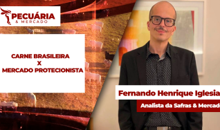 Fernando Henrique Iglesias - Analista da Safras & Mercado