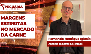 Fernando Henrique Iglesias - Analista da Safras & Mercado