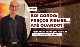 Fernando Henrique Iglesias - Analista da Safras & Mercado