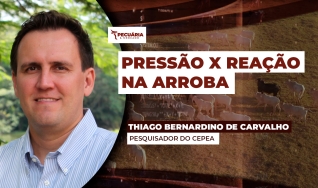 Thiago Bernardino de Carvalho - Pesquisador do Cepea