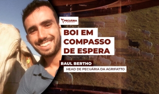 Raul Bertho - Head de Pecuária da Agrifatto