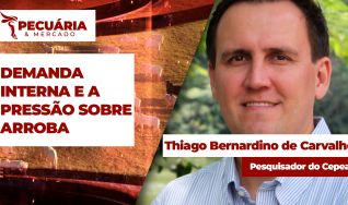 Thiago Bernardino de Carvalho - Pesquisador do Cepea