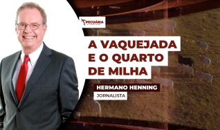 Hermano Henning - Jornalista