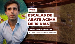Gustavo Figueiredo - Sócio da Radar Investimentos