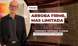 Fernando Henrique Iglesias - Analista da Safras & Mercado