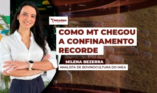 Milena Bezerra - Analista de  Bovinocultura do IMEA