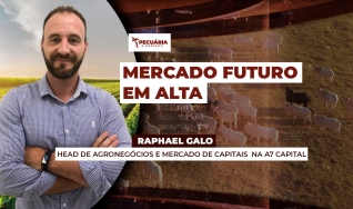 Raphael Galo - Head de Agronegócios e mercado de capitais na A7 Capital