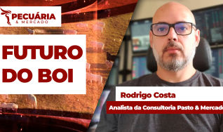 Rodrigo Dutra Costa - Analista da Consultoria Pasto & Mercado