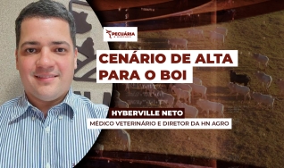 Hyberville Neto - Médico veterinário e Diretor da HN AGRO