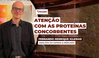 Fernando Henrique Iglesias - Analista da Safras & Mercado