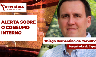 Thiago Bernardino de Carvalho - Pesquisador do Cepea