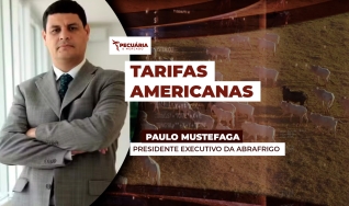 Paulo Mustefaga - Presidente Executivo da ABRAFRIGO