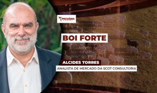 Alcides Torres - Analista de Mercado da Scot Consultoria