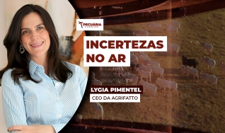 Lygia Pimentel - CEO da Agrifatto