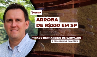 Thiago Bernardino de Carvalho - Pesquisador do Cepea