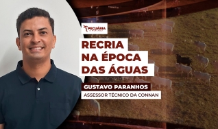 Gustavo Paranhos - Assessor Técnico da Connan