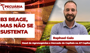 Raphael Galo - Head de Agronegócios e Mercado de Capitais na A7 Capital