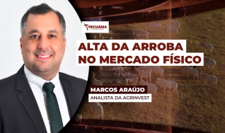 Marcos Araújo - Analista da Agrinvest