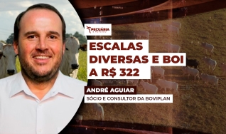 André Aguiar - Sócio e Consultor da Boviplan