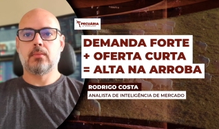 Rodrigo Costa - Analista de Inteligência de Mercado