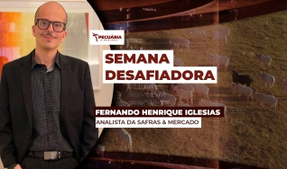Fernando Henrique Iglesias - Analista da Safras & Mercado