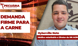 Hyberville Neto - Médico veterinário e Diretor da HN AGRO