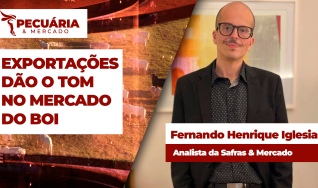 Fernando Henrique Iglesias - Analista da Safras & Mercado