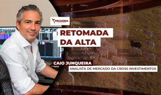 Caio Junqueira - Analista de Mercado da Cross Investimentos