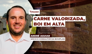André Aguiar - Sócio e Consultor da Boviplan