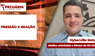 Hyberville Neto - Médico veterinário e Diretor da HN AGRO