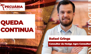 Rafael Grings - Consultor da Hedge Agro Consultoria