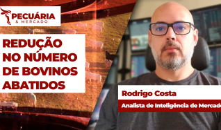 Rodrigo Costa - Analista de Inteligencia de Mercado