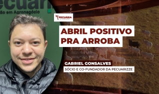 Gabriel Gonsalves - Sócio e Co-Fundador da Pecuarizze