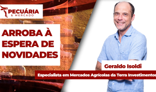 Geraldo Isoldi - Especialista em Mercados Agrícolas da Terra Investimentos