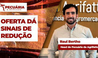 Raul Bertho - Head de Pecuária da Agrifatto