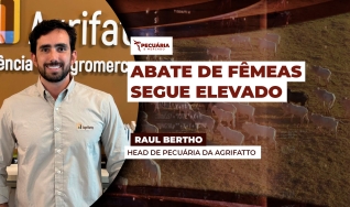 Raul Bertho - Head de Pecuária da Agrifatto