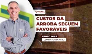 Paulo Dias - CEO da Ponta Agro