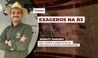 Ronaty Makuko - Eng. Agrôn. e Consultor de Mercado da Pátria Agronegócios