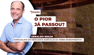 Geraldo Isoldi - Especialista em Mercados Agrícolas da Terra Investimentos