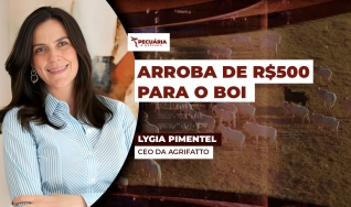 Lygia Pimentel - CEO da Agrifatto
