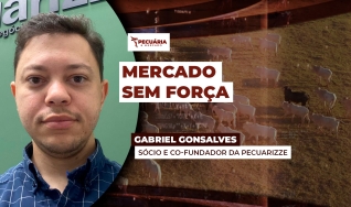 Gabriel Gonsalves - Sócio e Co-Fundador da Pecuarizze