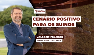 Valdecir Folador - Presidente da ACSURS