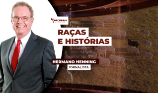 Hermano Henning - Jornalista
