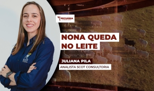Juliana Pila - Analista Scot Consultoria
