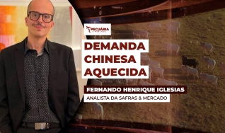 Fernando Henrique Iglesias - Analista da Safras & Mercado