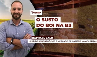 Raphael Galo - Head de Agronegócios e Mercado de Capitais na A7 Capital